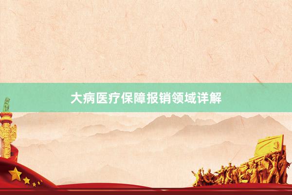 大病医疗保障报销领域详解